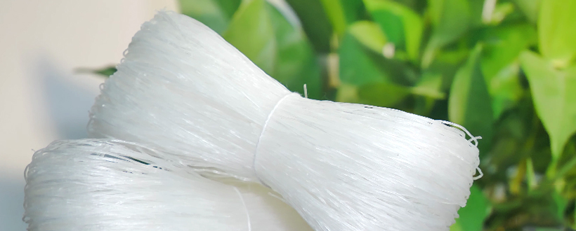 Chongqing Wuxia Vermicelli co.,Ltd